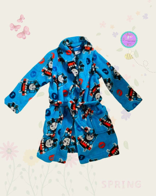 SALIDA DE  BAÑO TREN TOMAS